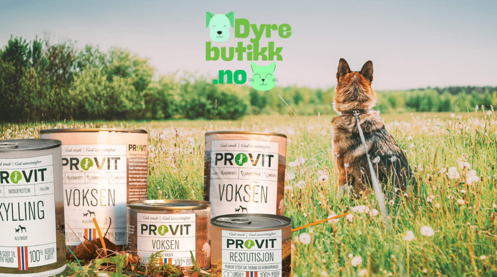 Hermetikk eller boksemat til hund