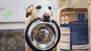 Human Grade Hundemat