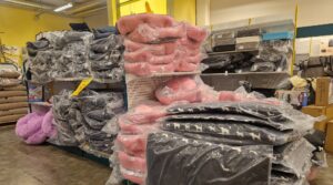 Hvordan velge riktig hundeseng