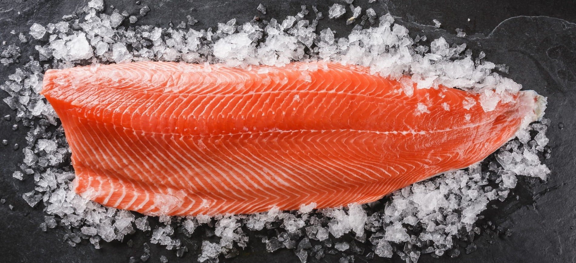 Premium hundemat laget med fersk laks av matkvalitet og skandinaviske råvarer