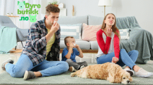 Slik fjerner du dyreallergener hjemme - den ultimate guiden