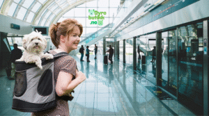 Slik velger du riktig flyveske til hund og katt – størrelseskrav, tips og råd