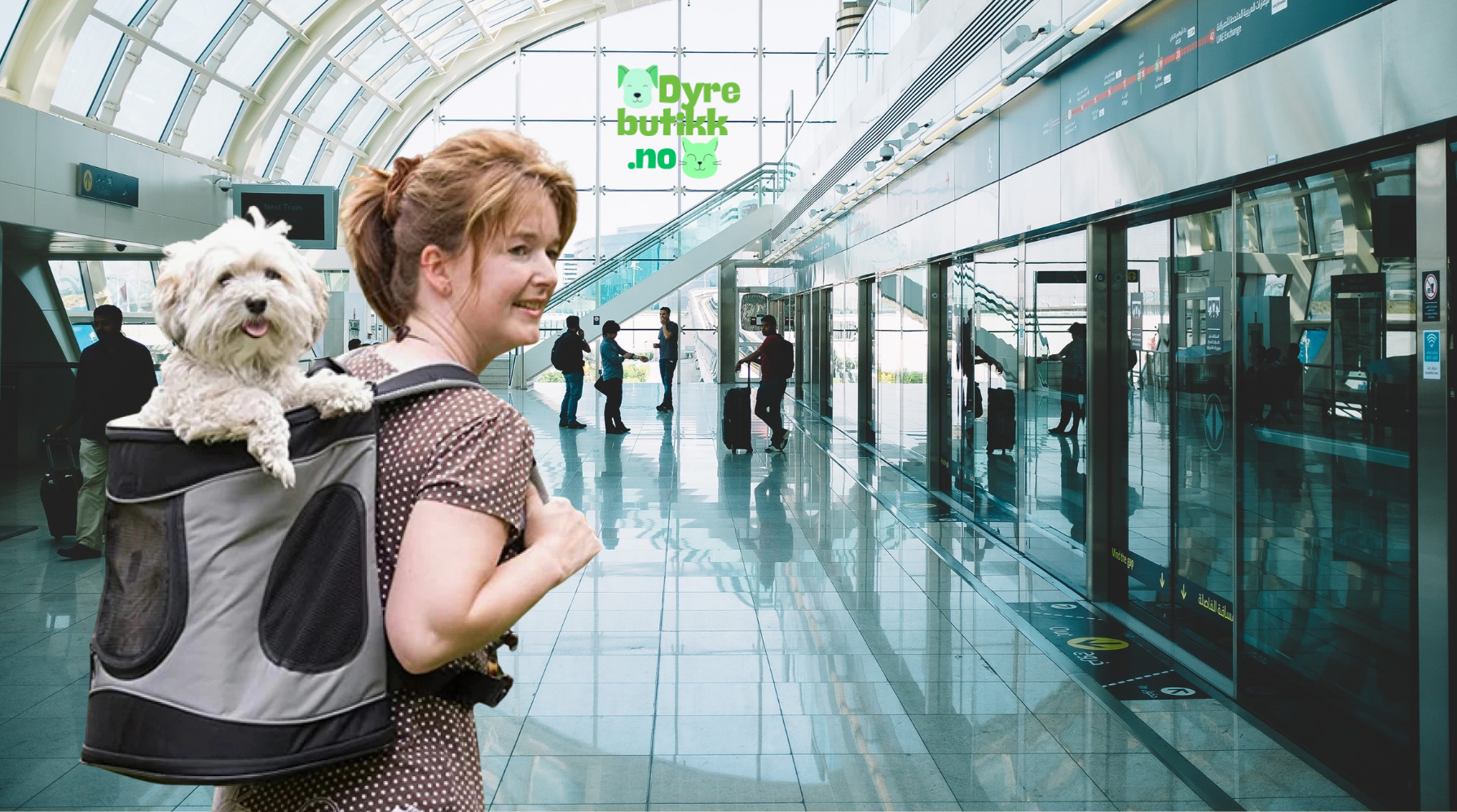 Slik velger du riktig flyveske til hund og katt – størrelseskrav, tips og råd