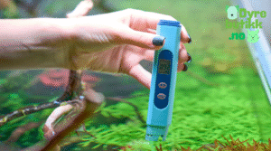 Vannkjemi for Dummies - pH, Ammoniakk og Nitritt Forklart Enkelt