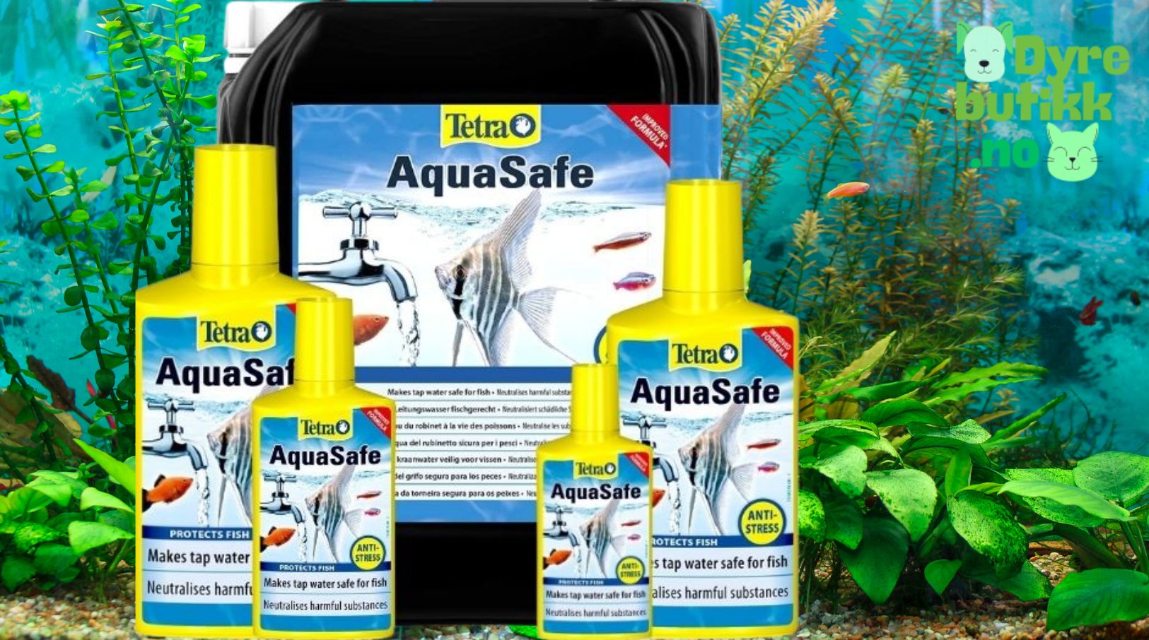 Vannbehandling akvarium test 2025