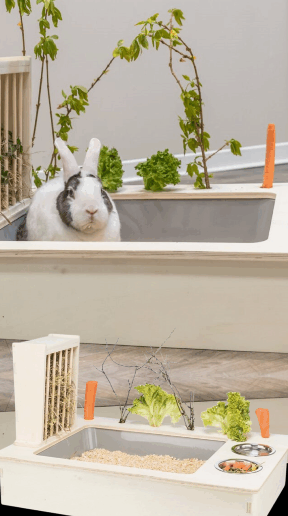 Burinventar små kjæledyr