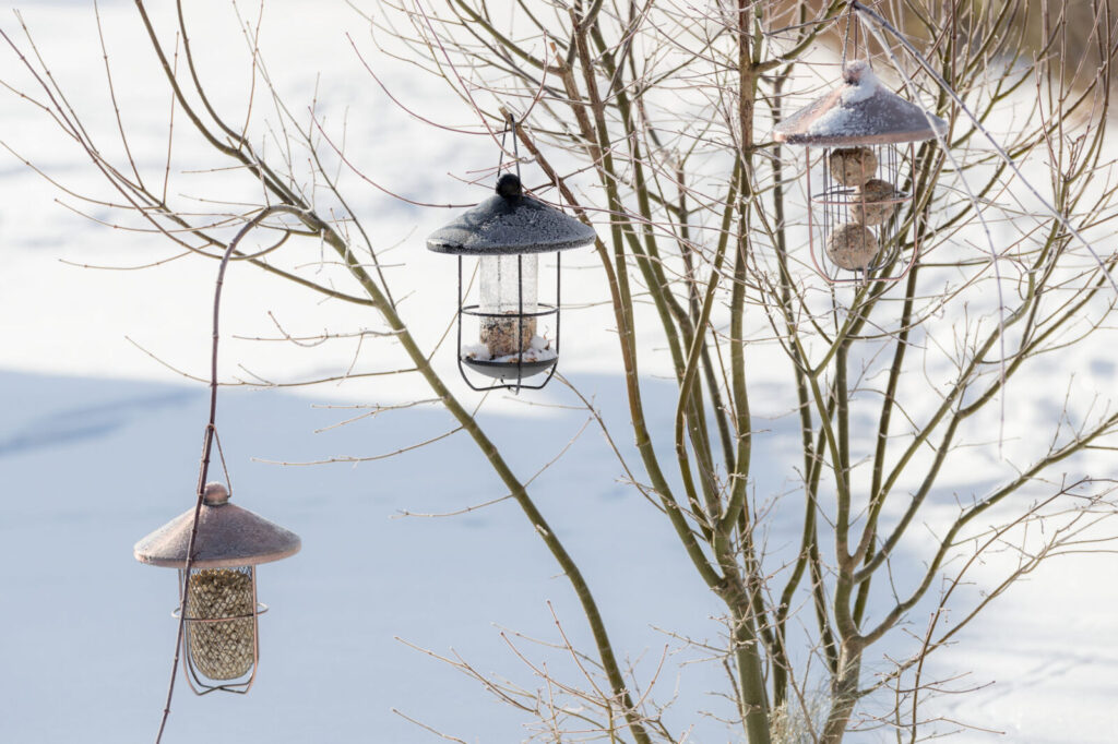 Utefuglautomat i metall-plastikk 500ml ø19cm sort halvmatt