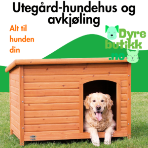 Utegård-hundehus og avkjøling