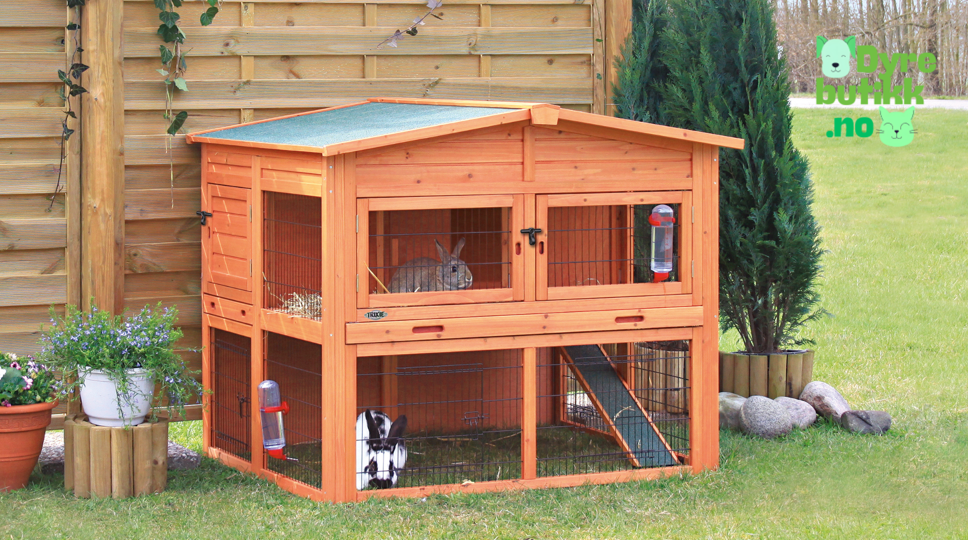 Kaninbur ute Slik velger du riktig kaninbur utendørs (1)