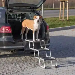 Trixie Sammenleggbar Trapp for Hund og Katt