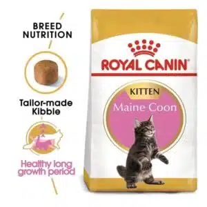 Royal Canin Maine Coon Kitten