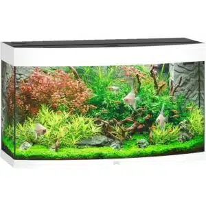 Juwel Buet Akvarium LED Vision 180 92x41x55cm