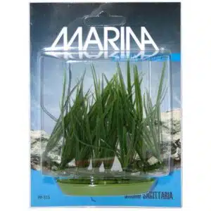 Plastplante micro sagittaria