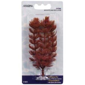 Plastplante foxtail mini 10cm med sugekopp