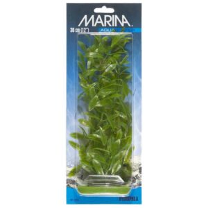 Plastplante Hygrophila