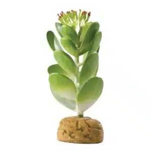 Exo Terra Jadekaktus 10.5×10.5x15cm