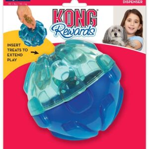 Kong Rewards Ball 12cm Ã˜