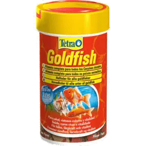 Tetra Goldfish