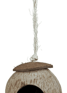 Kokoshus til hamster