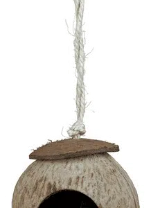 Kokoshus til hamster