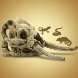 4FISH Kranium 23.5x12x11.8 cm