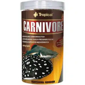 Tropical Carnivore