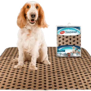 Simple Solution Washable Training Pad Tisseunderlag Valp (2 stk)