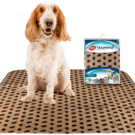 Simple Solution Washable Training Pad Tisseunderlag Valp (2 stk)