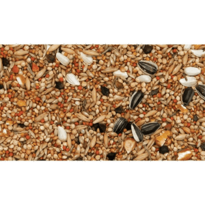 Dvergpapegøye Gress-Parakitt Frøblanding25kg