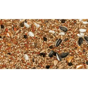 Dvergpapegøye Gress-Parakitt Frøblanding25kg