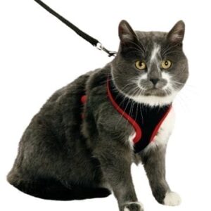 Kattesele myk med leiebånd