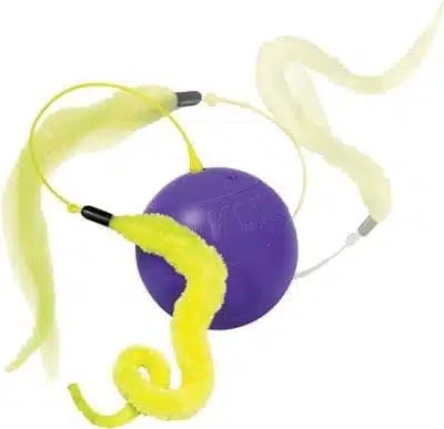 Kong cat purrsuit whirlwind