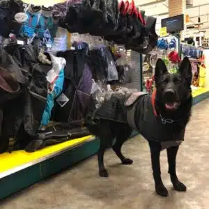 Richo Varmedekken Vinterdekken 40cm