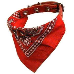 Halsbånd med skjerf