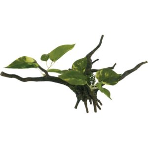Ozami Akvaristikk Akvariedekor Drivved Plante 34x15x15 cm