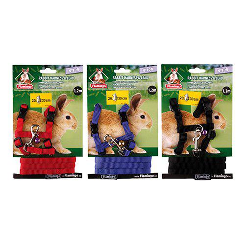 Sele med kobbel, Marsvin-kanin-katt