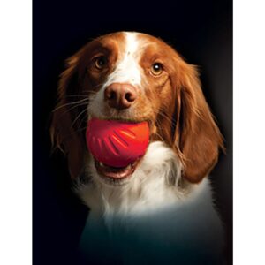 Starmark Foam Bacon Ball Hundeleke