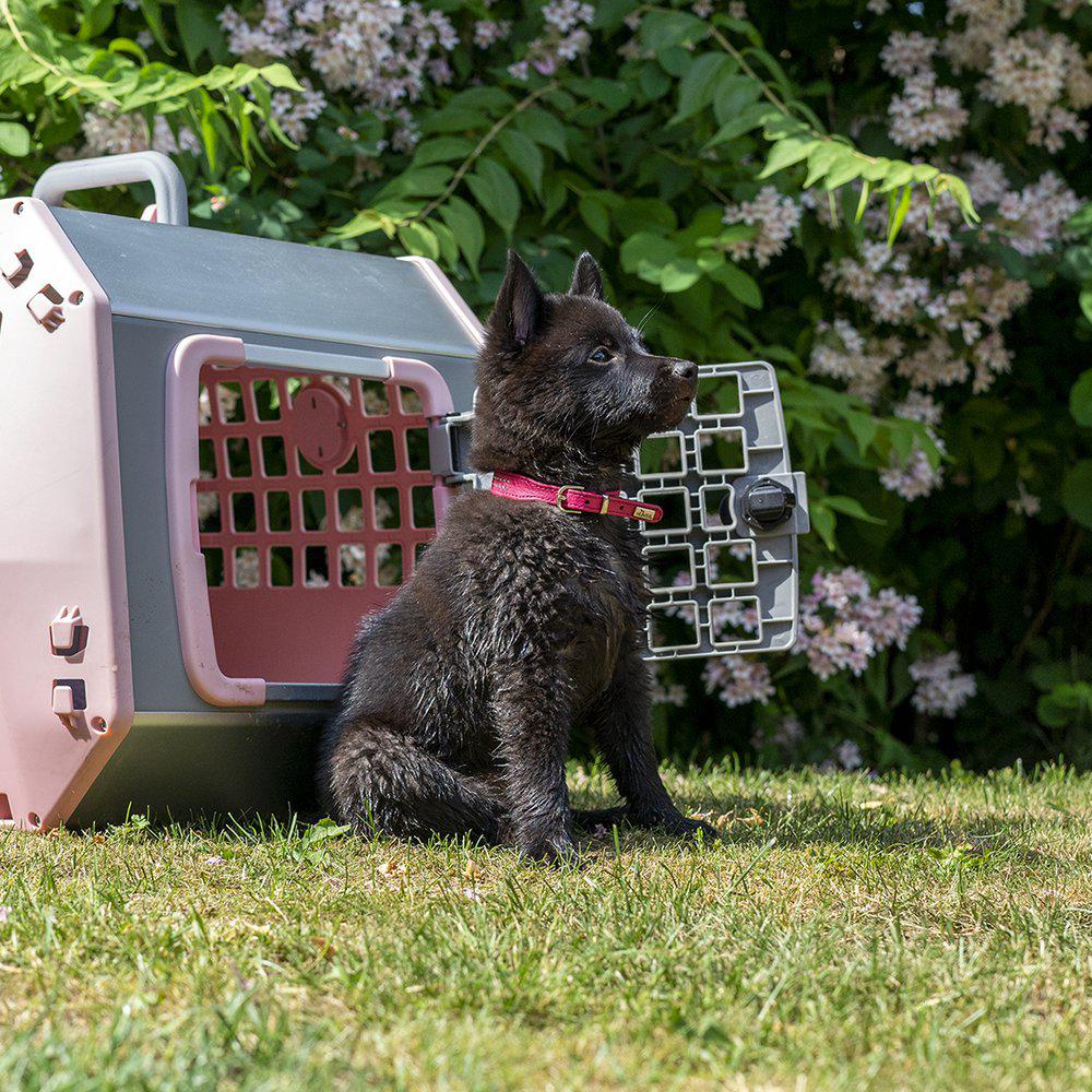 Mim Care2 Hundebur Transport Bilsetebur