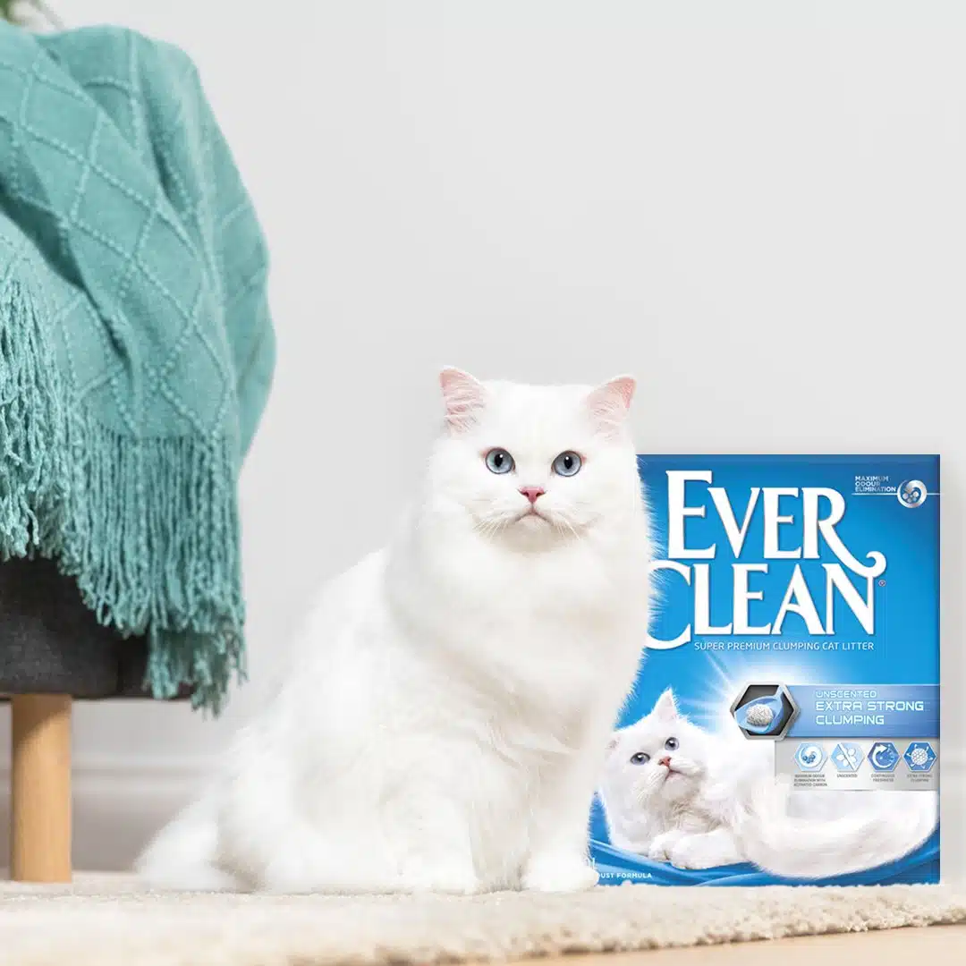 Ever Clean Extra Strong Clumping Unscented Kattesand 10 L