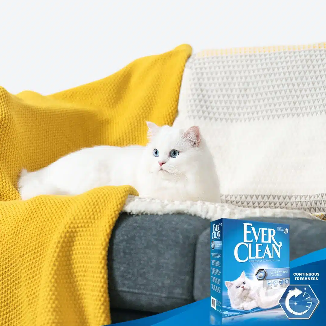 Ever Clean Extra Strong Clumping Unscented Kattesand 10 L