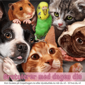 Gavekort Dyrebutikk-Tropehagen