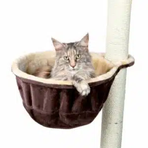 Hengepose plysj, til kloremøbler beige Ø38