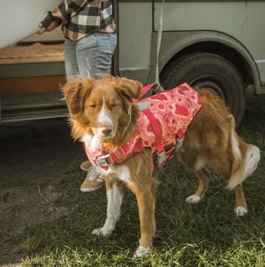 Hurtta Life Savior ECO svømmevest