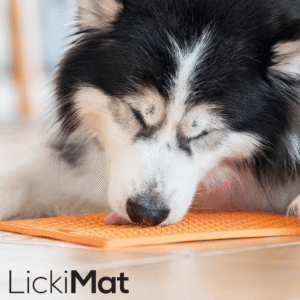 LickiMat Buddy Large Slikkematte 28 x 28 cm