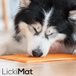 LickiMat Buddy Large Slikkematte 28 x 28 cm