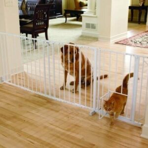 Carlson grind maxi walk-thru med kattedør, 76×94-152cm