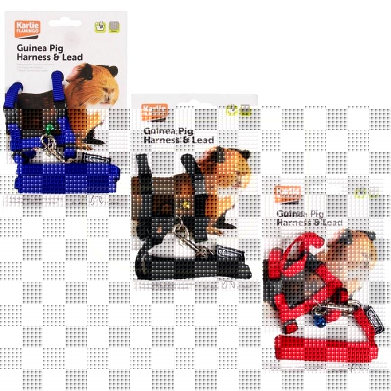 Sele med kobbel, Marsvin-kanin-katt