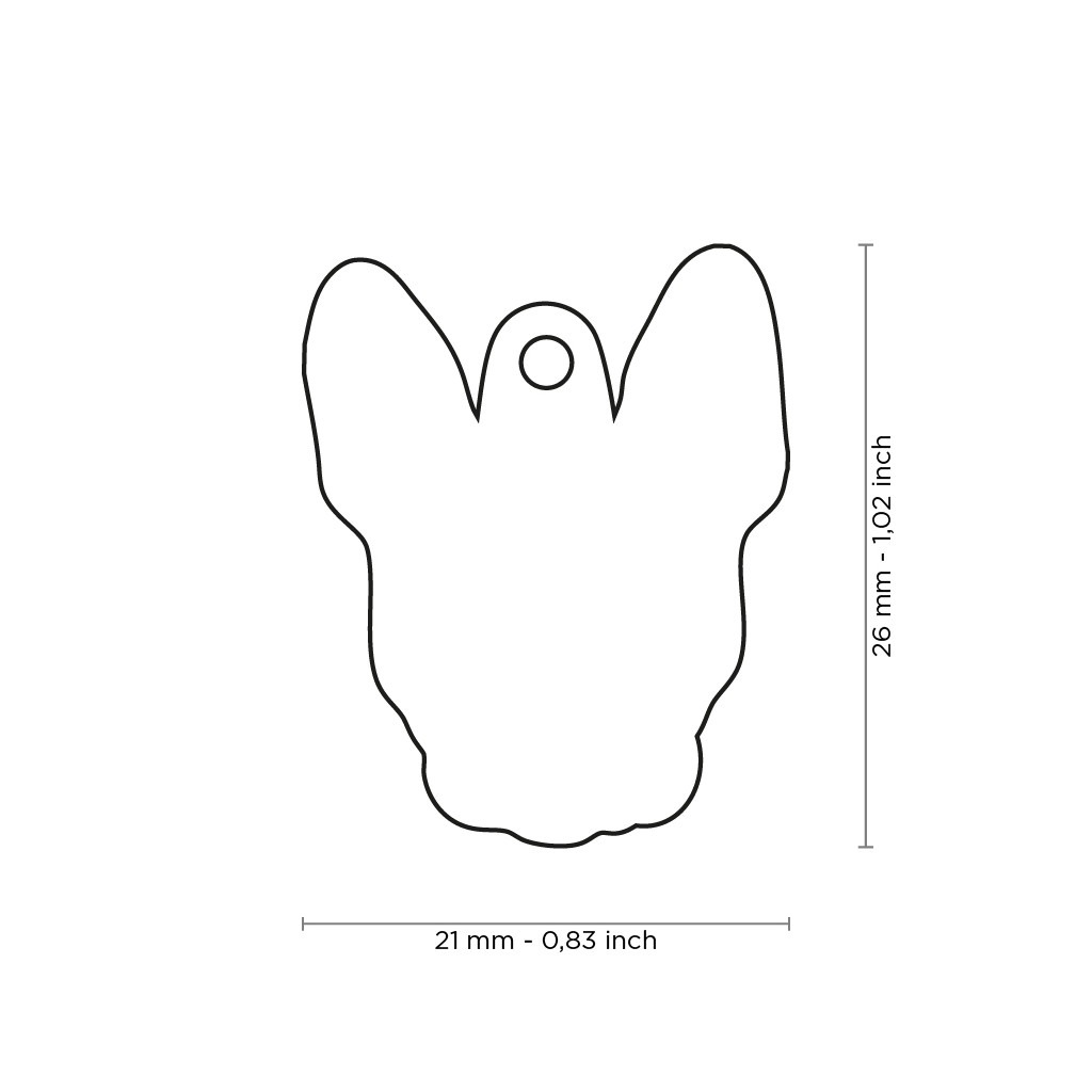 Myfamily Boston Terrier IDtag