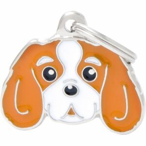 Myfamily Cavalier king charles IDtag