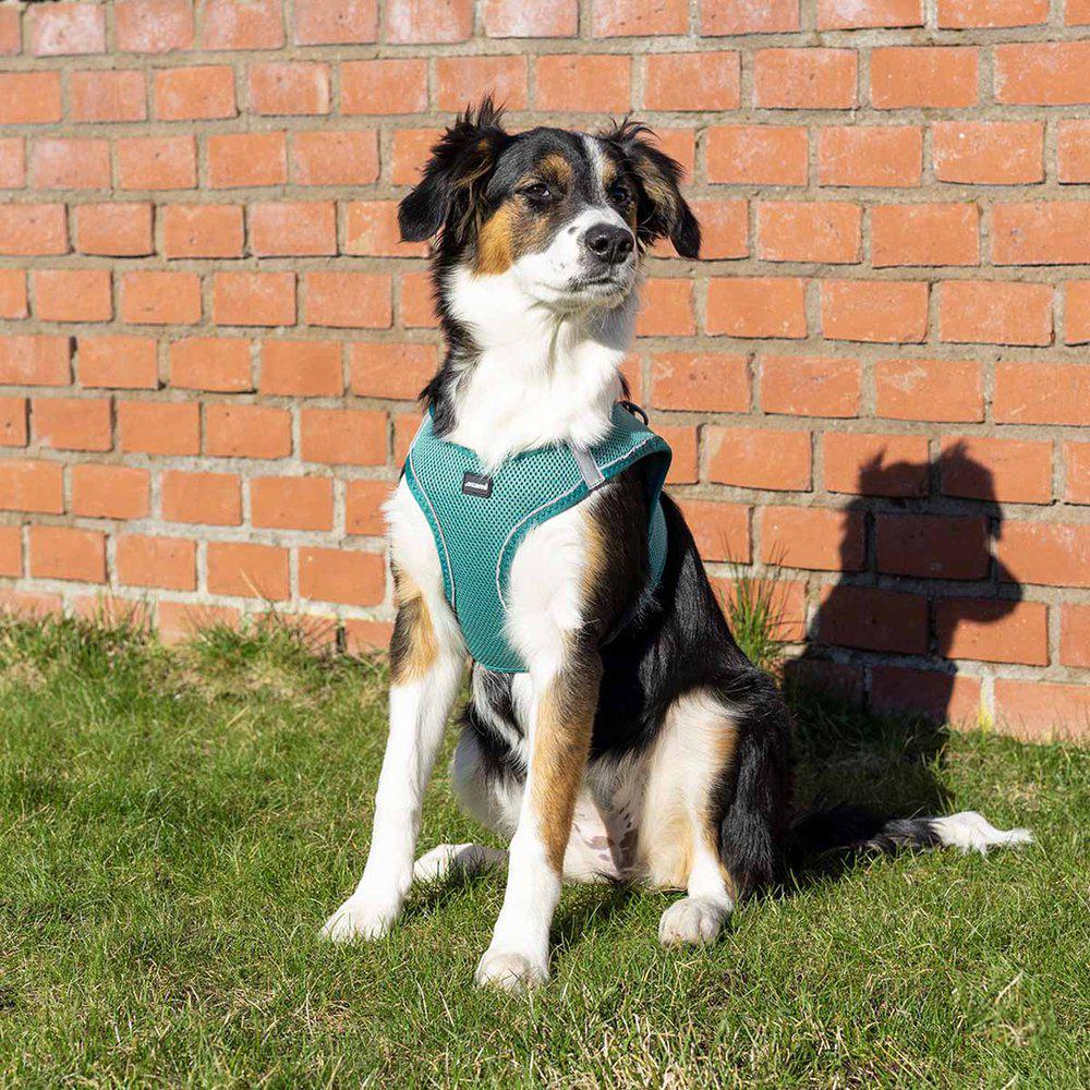 Ozami Sele Air-mesh Turkis